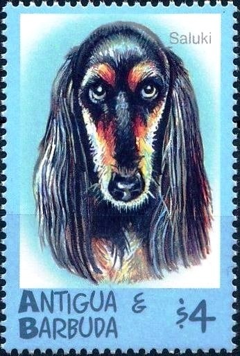 Hugo Sanchez, Mexico