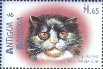 "Viking" Robot Mars Expedition, 1976