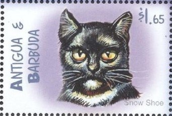 Benedict XIII, 1724-1730