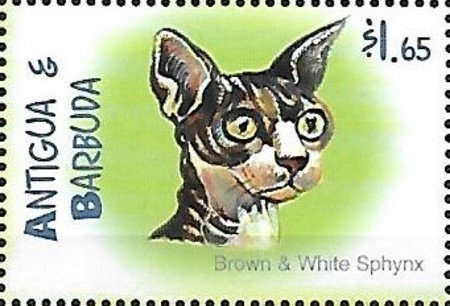 Prince William wearing Yellow Shirt