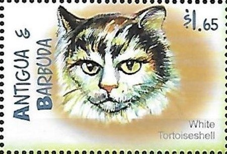 White-angled Sulphur (Anteos clorinde)