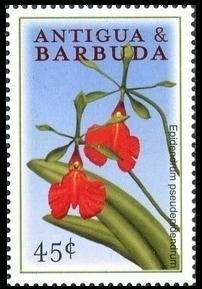 "Soyuz" Spacecraft on Joint Mission