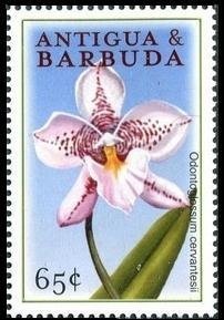 Sara as Princess on Throne