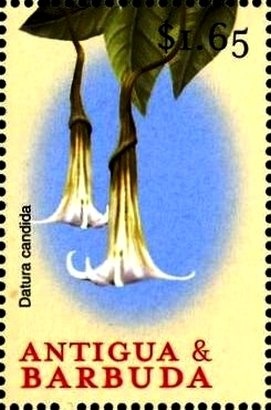 Concorde 01 Rolled out, Filton, 20th September 1971