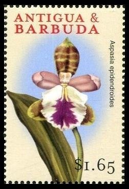 "If you had wider shoulders...."