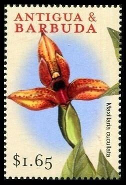 Pairs Figure Skating