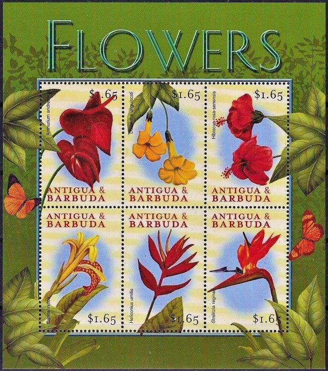 Union Forces Assemble near Greenbrier River