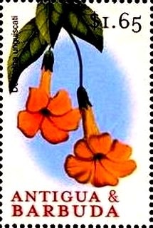 Diana with Prince Henry