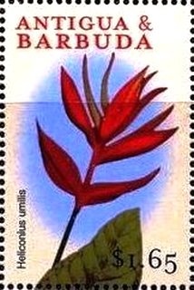 Battle of Chattanooga