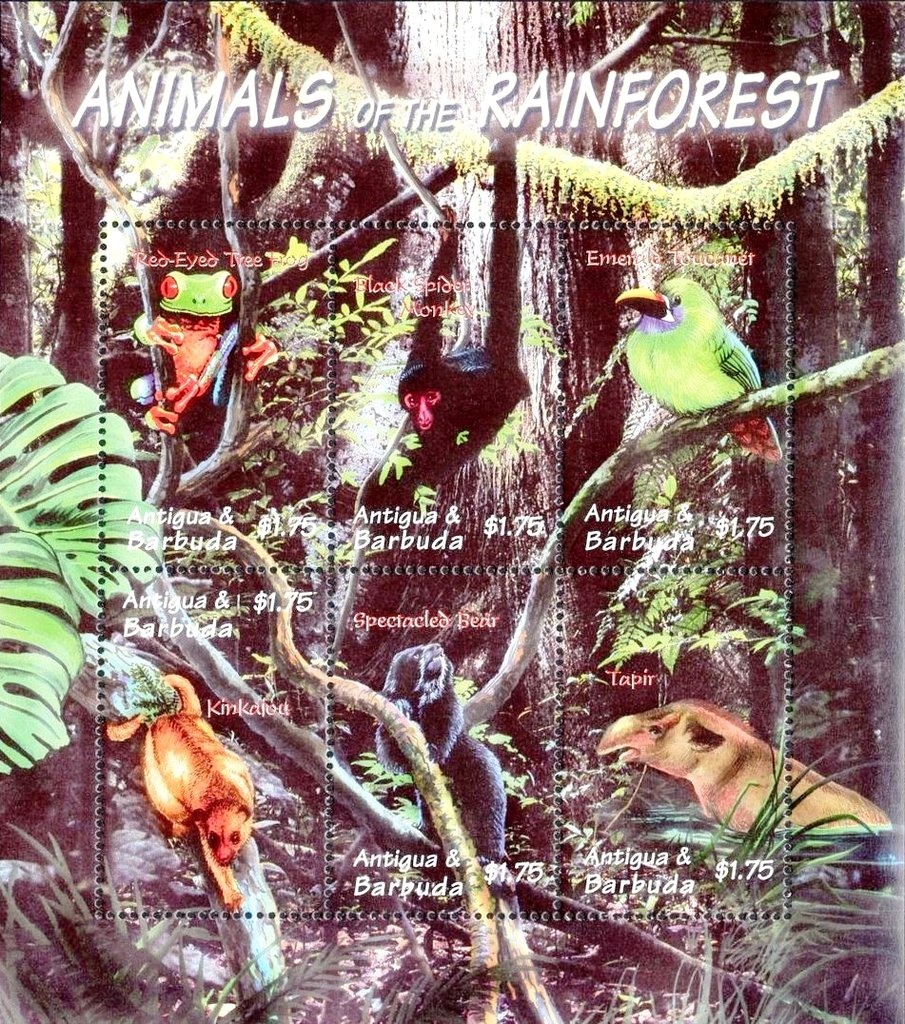 French Bulldog (Canis lupus familiaris)