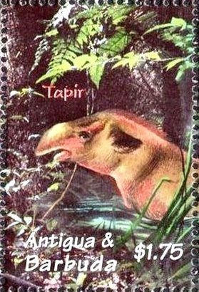 Sara Talking to Man in Frock Coat