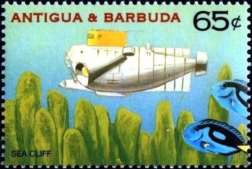 Cardinal's Guard (Pachystachys coccinea)