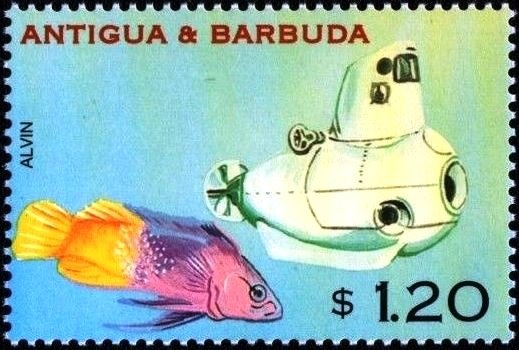 Leatherback Sea Turtle (Dermochelys coriacea)