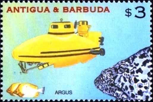 Brown Pelican (Pelecanus occidentalis)