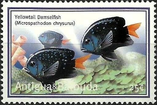 Death of Queen Elizabeth the Queen Mother