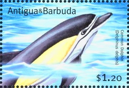 "A High Ranking Courtesam known as "Oiran""