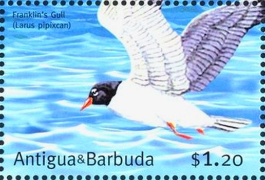 Queen Elizabeth II, 1993