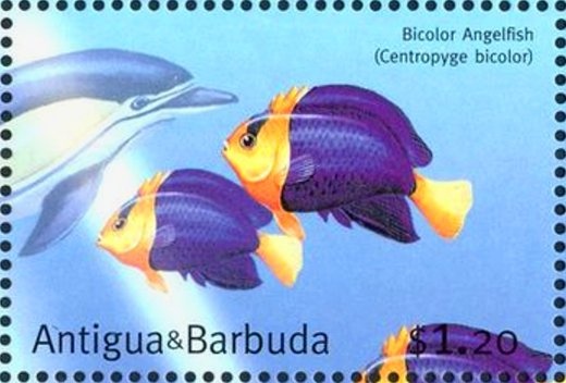 Elle Macpherson Lying on Couch