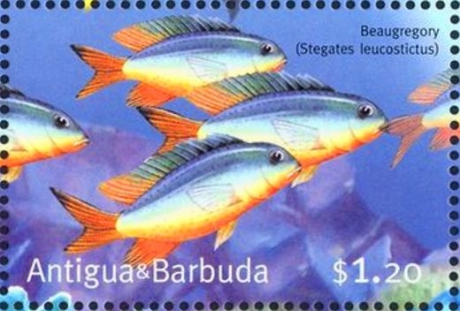 King James II of England and VII of Scotland, 1685-1689