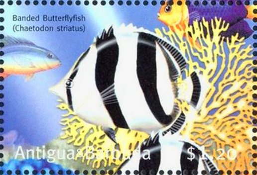 Surrenden in Appomattox