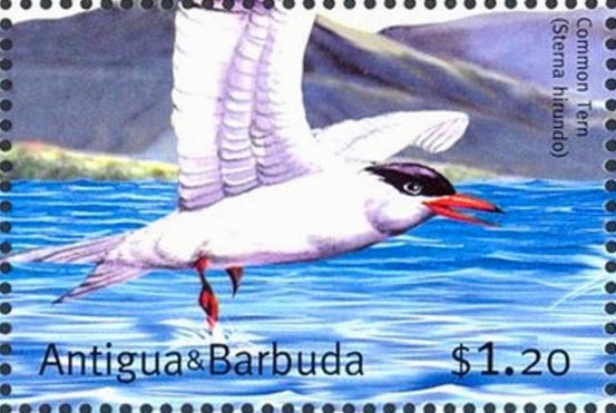 Marilyn Monroe 80th Birth Anniversary