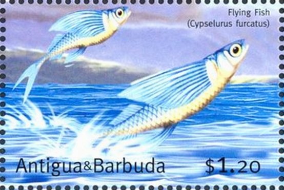 The Election of His Holiness Pope Francis