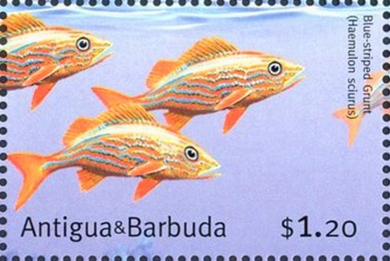 Giovanni van Bronckhorst (Netherlands)