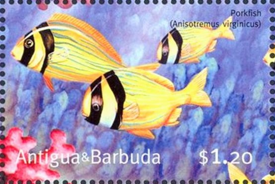 Porcelain Jar with Bonsai Design