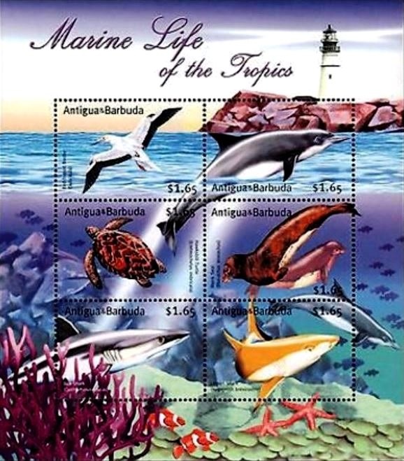 Royal Couple with King Juan Carlos I and Queen Sofia