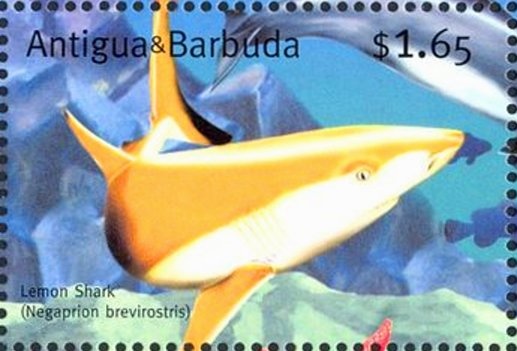 Pope Benedict XVI 80th Birthday