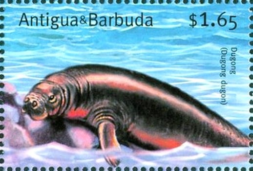 Leonidas, Brazil, 1938