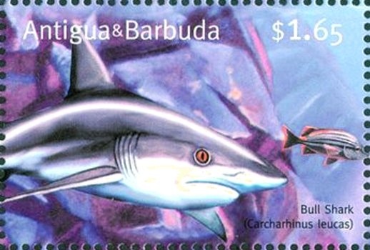 75th Anniversary of First Solo Trans-Atlantic Flight