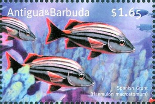 Blue-cheeked Butterflyfish (Chaetodon semilarvatus)