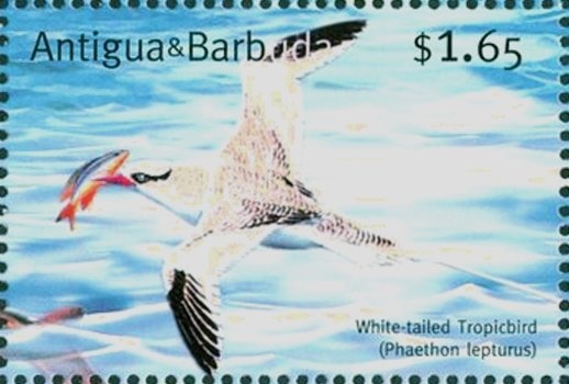 Wearing Cape ("The Gold Rush")