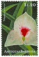 In "Cobra" with Nita Naldi, 1925