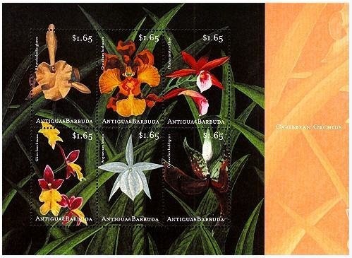 Cavalryman and Horse