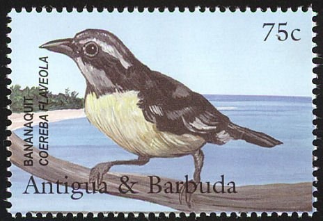 "Adoration of the Child"