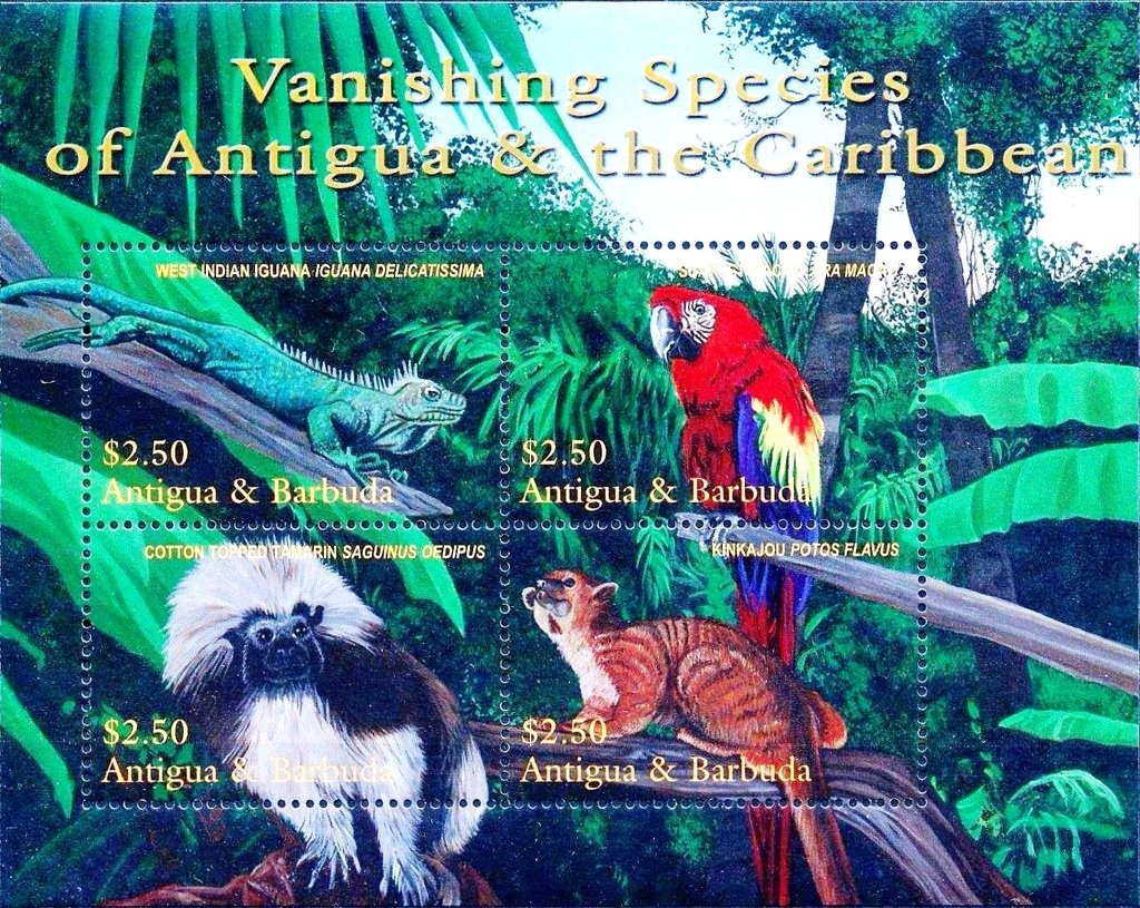 Princess Diana in Tiara (looking Left)