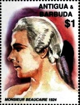 Agrocybe Mushroom (Agrocybe cylindracea)