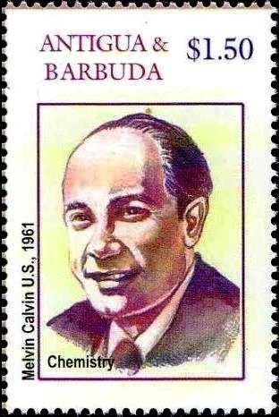 "A High Class Maid Training in a Samurai Household"