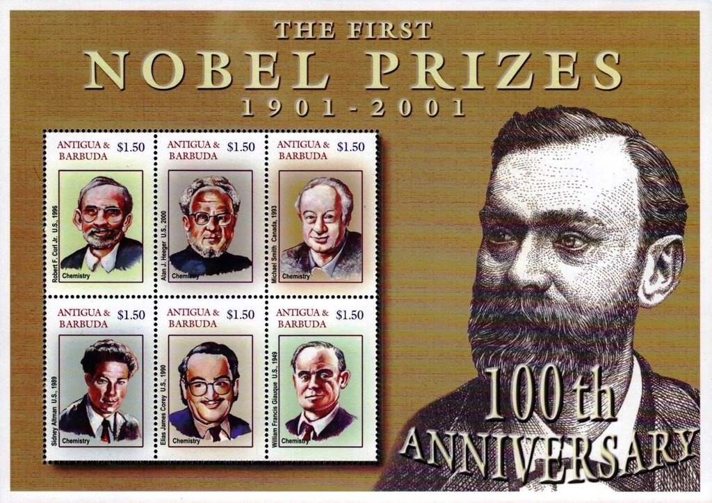 Common Bottlenose Dolphin (Tursiops truncatus)