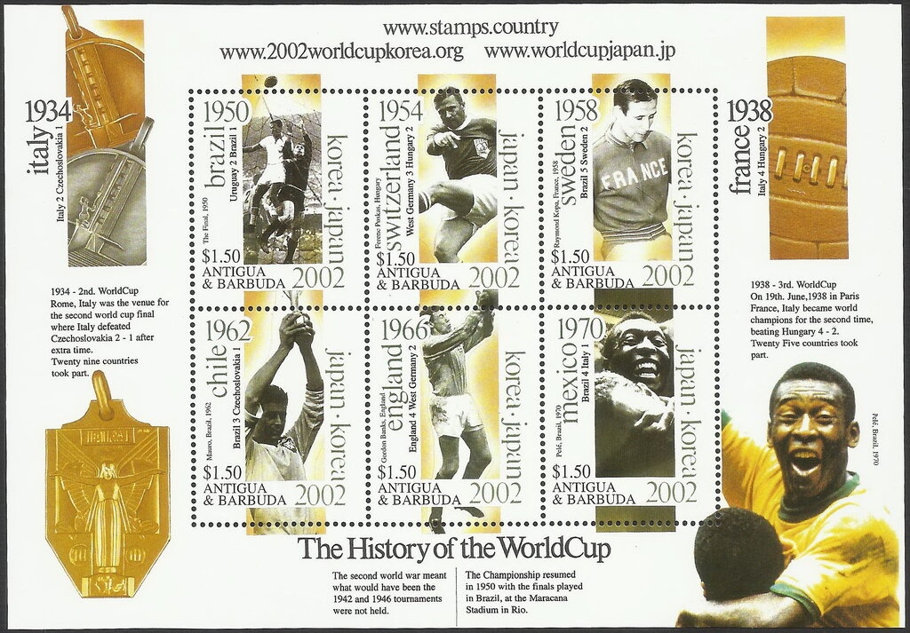 Atlantic Goliath Grouper (Epinephelus itajara)