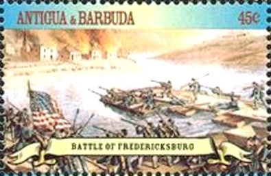 Striped Dolphin (Stenella coeruleoalba)