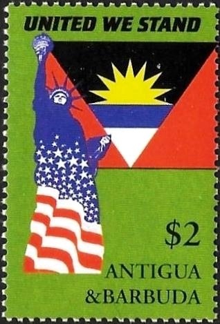 Young Magnificent Frigatebird (Fregata magnificens)