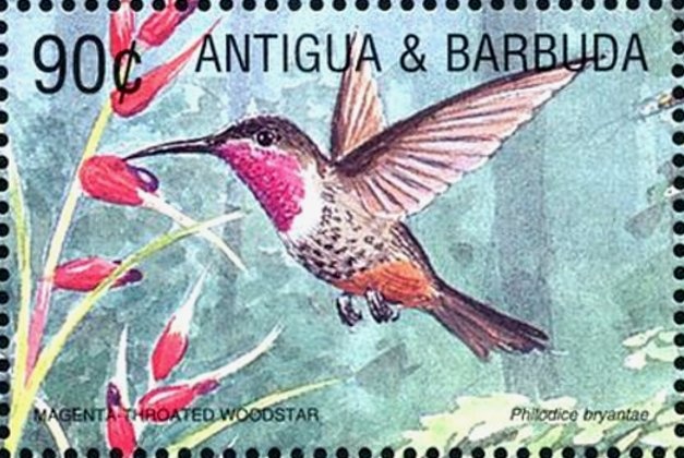 13th-century English Knight