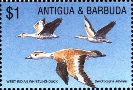 Hans Christian Andersen