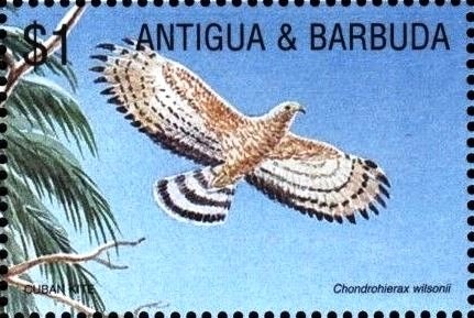 Locomotive "Iron Rooster", China