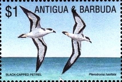 Beijing 2010 International Stamp and Coin Exposition