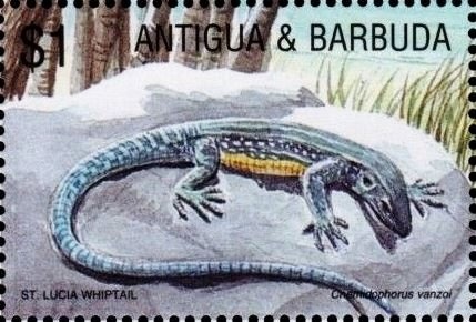 Nelson Mandela wearing Blue Shirt