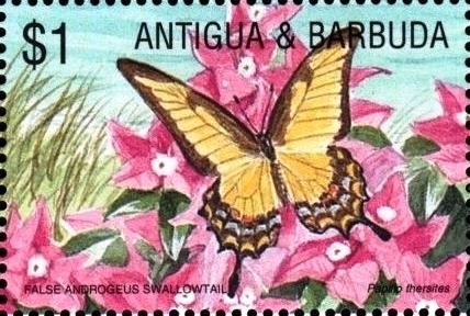 Pope Francis in New York